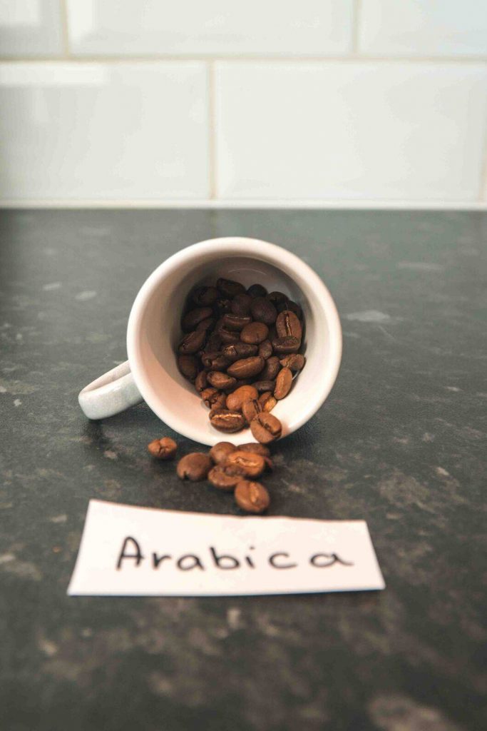 arabica beans in a cup